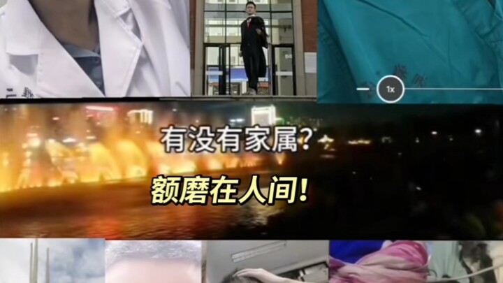 Cuộc thảo luận đang diễn ra về việc các cơ quan nội tạng nên hay không nên được giữ lại, dựa trên đo