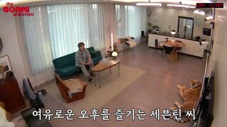 Going Seventeen ep 41
