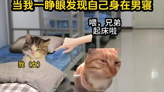 "Awkward All-Boys School"