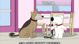 Family Guy/Brian's car accident made him realize the mission of a dog
