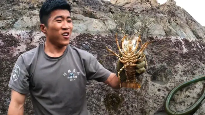 Fish-Catching: Pork Liver Attracts Lobsters