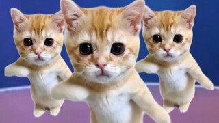 起猛了，居然看到娃娃丢在跳科目三