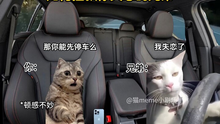 Làm thế nào để cứu anh trai bạn đang đau khổ vì thất tình?