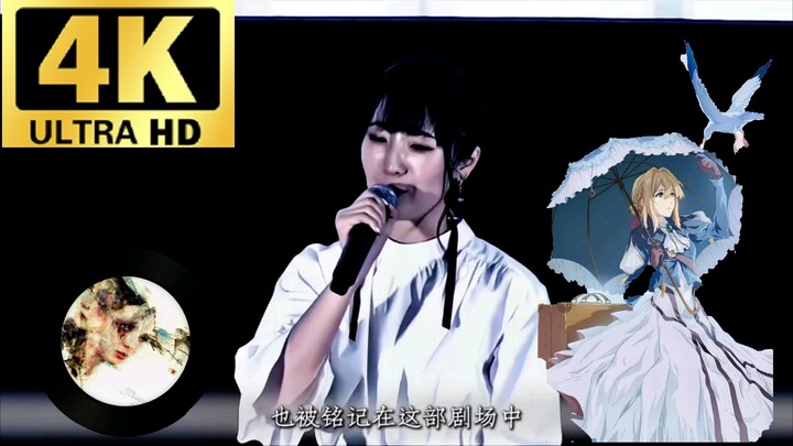 薇尔莉特声优：“薇尔莉特一直被大家喜欢”