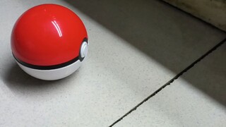 How to Catch Pokémon in Real Life