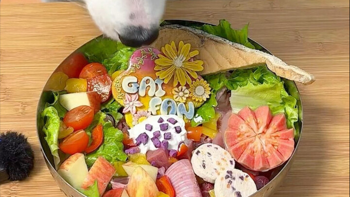 ماذا يأكل كلب الراعي الحدودي الذي يزن 20 كيلوغرامًا في وجبة واحدة؟ | سلمون مقطع سميك 🍣