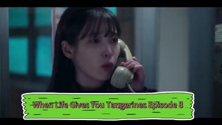 When Life Gives You Tangerines Episode 8