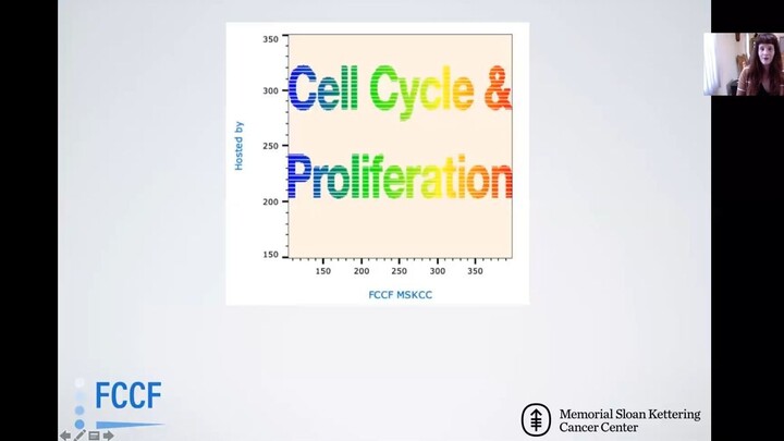 FCCF Virtual Classroom: FlowJo v10.6.2 Cell Cycle and Proliferation