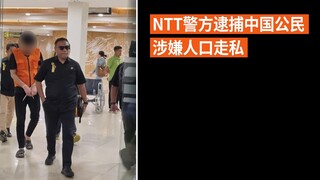 NTT警方逮捕中国公民 涉嫌人口走私