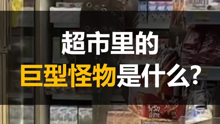 บางคนบอกว่ามันคือตุ๊กแกยักษ์แห่งภาคใต้ นี่เกินไปแล้ว! มาแชร์สัตว์ลึกลับที่ทุกคนส่งมาในข้อความส่วนตัว