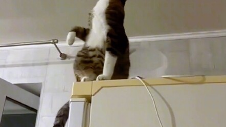 มีใครต้องการช่างไฟฟ้าบ้างไหม?