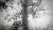EPS 3 || MUSHISHI || SUB INDO