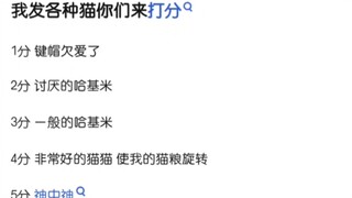 以下猫猫是豪猫还是键猫？