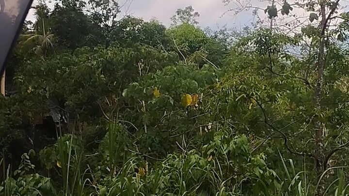 ang lamig ng hangin kahit mainit...Nueva Ecija