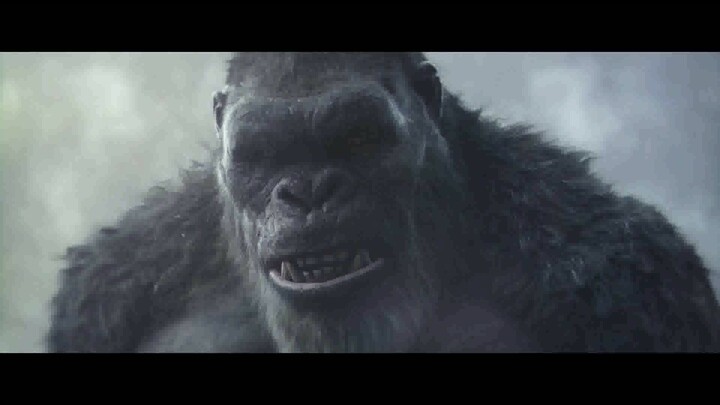 Godzilla.x.Kong.The.New.Empire.(2024)