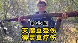 今天这集，西南仙域修士必看！【重生之回乡修仙传】第25回