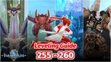 Toram Online - Leveling Guide 255-260 | RealityR