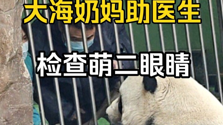 The doctor called the “胖大海” (Pang Dahai) nanny for help to examine Meng’er’s eyes. In the end, Meng’