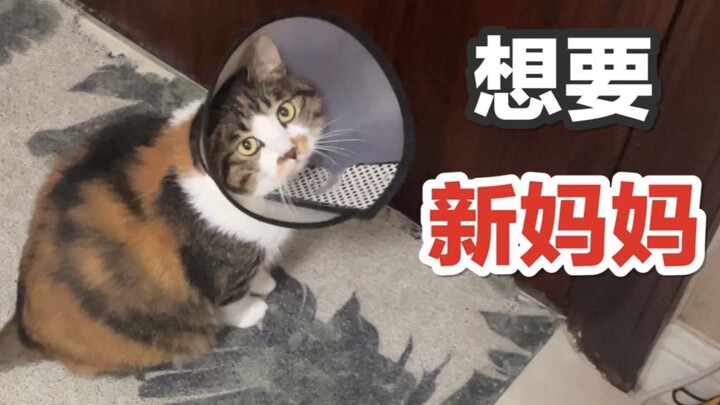 Đứa con bất hiếu lại muốn tìm cho mình một chủ nhân mới rồi