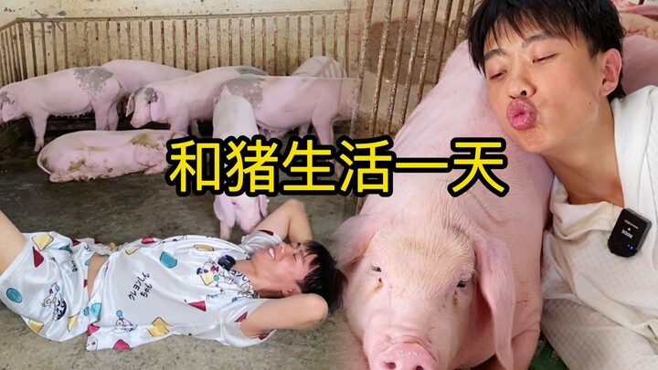 Sinh ra là một chú lợn, tôi thật hạnh phúc