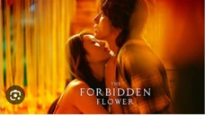 THE FORBIDDEN FLOWER Episode 21 Tagalog Dubbed