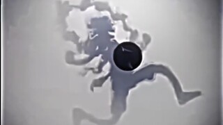 𝙇𝙐𝙁𝙁𝙔 𝙂𝙀𝘼𝙍 5 𝙑𝙎 𝙆𝙄𝙕𝘼𝙍𝙐 𝙎𝙄 𝘾𝘼𝙃𝘼𝙔𝘼