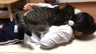 كنت دائمًا أداعب القطة، لكن هذه المرة حدث العكس وداعبتني القطة!