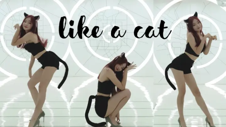【KPOP】Sexy Dance Cover of AOA-Like A Cat
