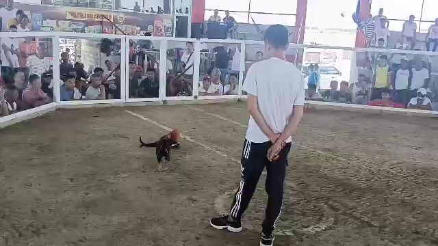 mayahin katambal ni KULAGTIT 💪👍😬