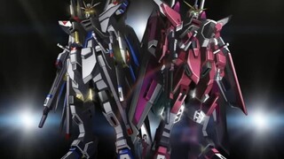 Mobile Suit Gundam SEED DESTINY 45