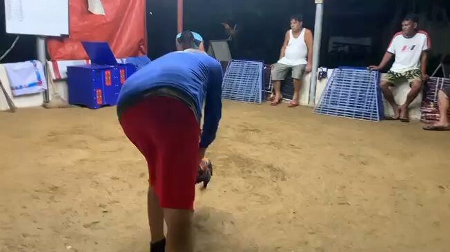 6 selection for 8 UGBOD STAG DERBY @ NAC BOGO NOV 8,2025