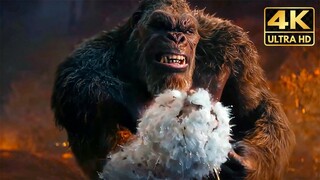 All King Kong Vs Titans Fights & Death Scenes (2024) Godzilla x Kong Movie