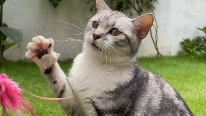 Believe in your initial aspirations for a better life, and keep striving—only then will your life ge