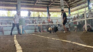 2 Hits Ulutan 1st Fight Win