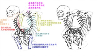 Come in and see how to explain the structure of the Toilet Man!