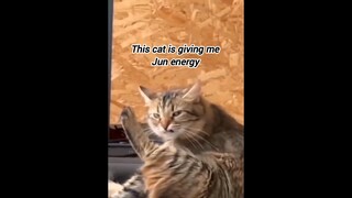 That smirk is giving Jun 😂 #seventeen #jun