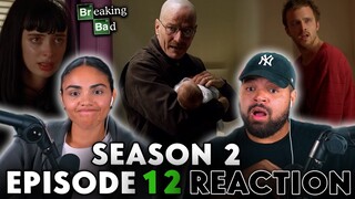 PHOENIX | Breaking Bad Season 2 Episode 12 Reaction