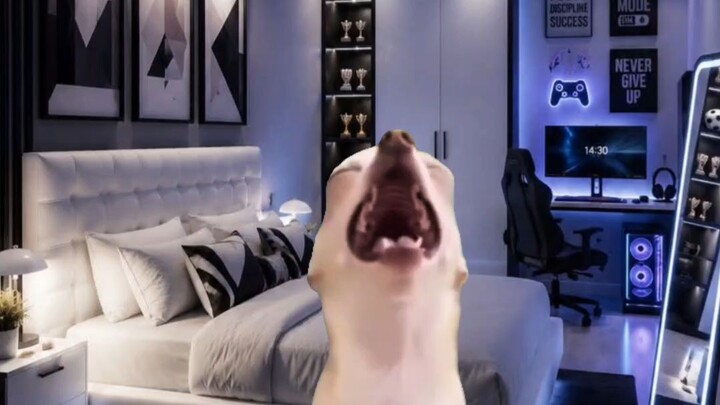 🤣