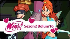 Winx Club - Sezon 2 Bölüm 16 - Cadılar Bayramı