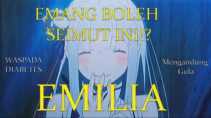 SOSOK EMILIA YANG JARANG DIKETAHUI [AMV]