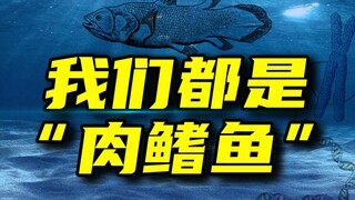 为什么说“鲸鱼也是鱼”