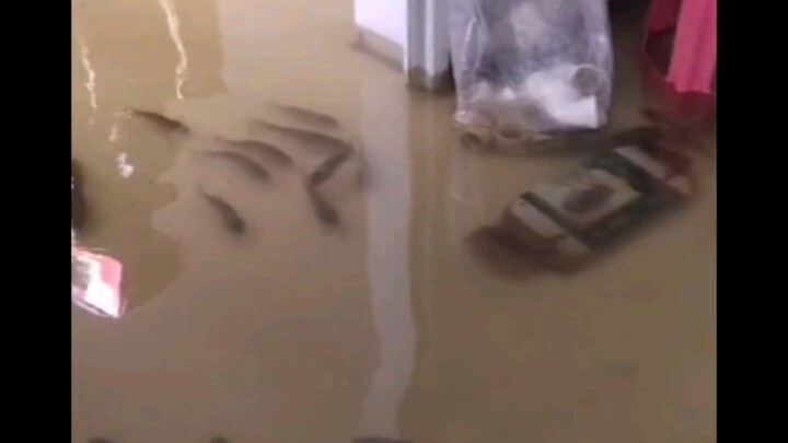 Sobat, kamu di mana? Memancing di rumah!
