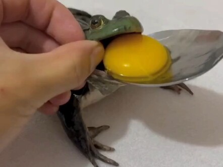 Lihat, nggak ada yang baik sama kamu tanpa alasan.