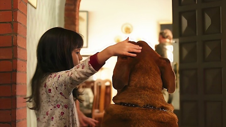 เด็กสาวเพียงแค่แตะตัวสุนัขตัวใหญ่เท่านั้น ก็ถูกลากไปถูกกัดแทะอย่างบ้าคลั่ง แต่ในพริบตาเดียว เด็กสาวก