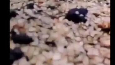 siapa nih yang pandai nilai orng?😁