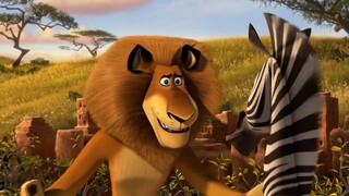 Madagascar  3