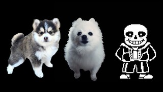 [Borkalovania] Megalovania by Toby Fox but it's Doggos and Gabe