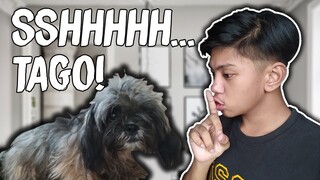 NAWALA YUNG ASO NAMIN PRANK! | BATOK DE GULAT | KHENT BERNARDO (TAGALOG)