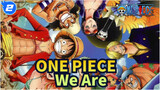 [ONE PIECE] Băng hải tặc Mũ Rơm - Bạn nhớ lần đầu xem One Piece chứ? - 'We Are'_2