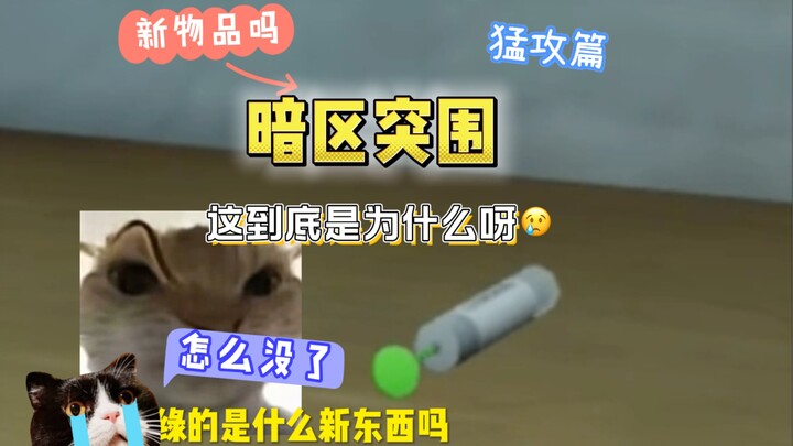 هل الأخ هو الأجمل أم الأغنية؟ 😎